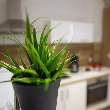 City Apartment *