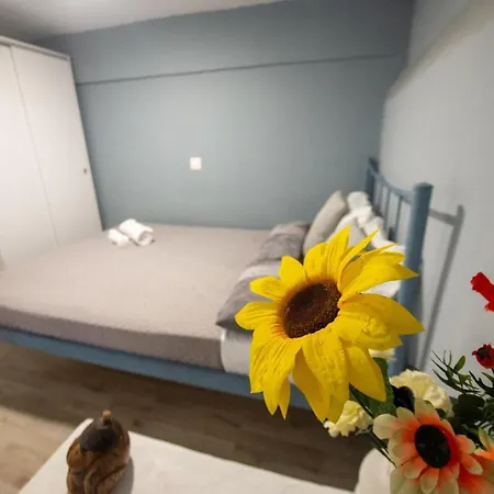 City Apartment